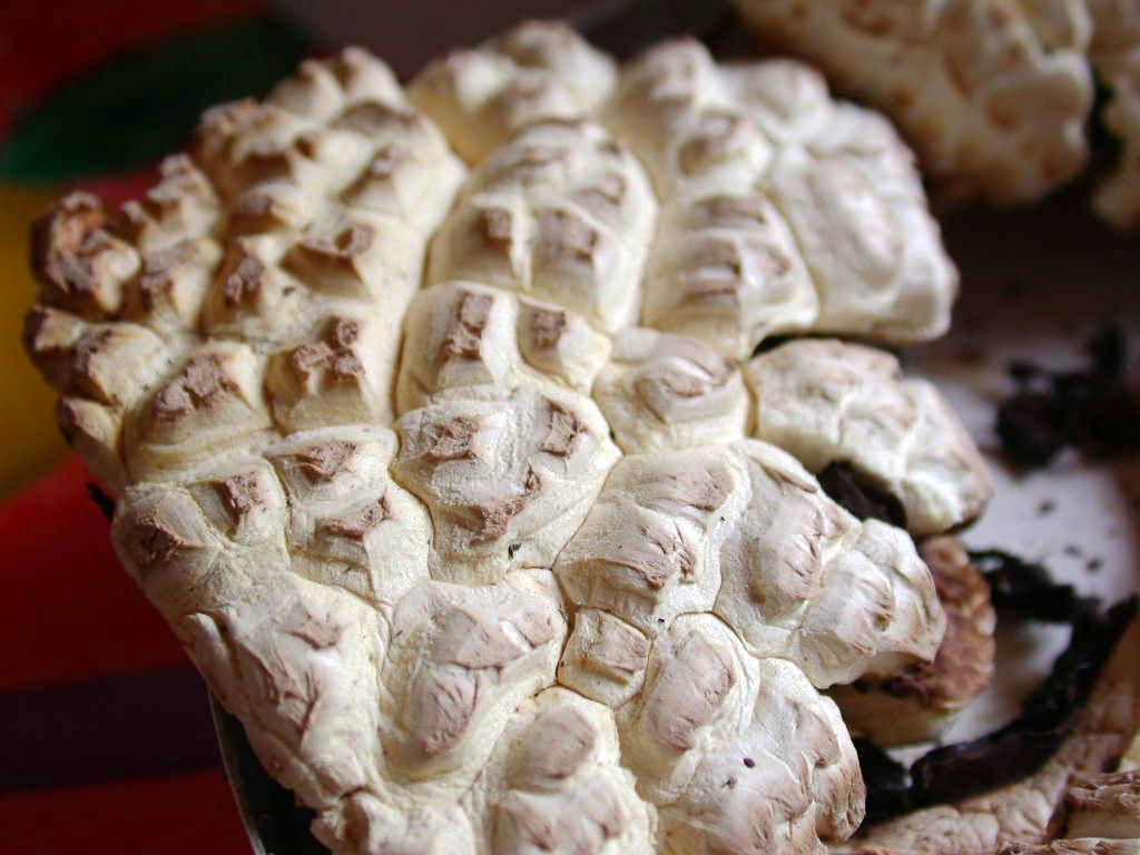 Kheops... Kephren...o ???  QUIZ